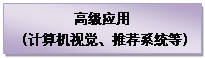 文本框: 高级应用(计算机视觉、推荐系统等)